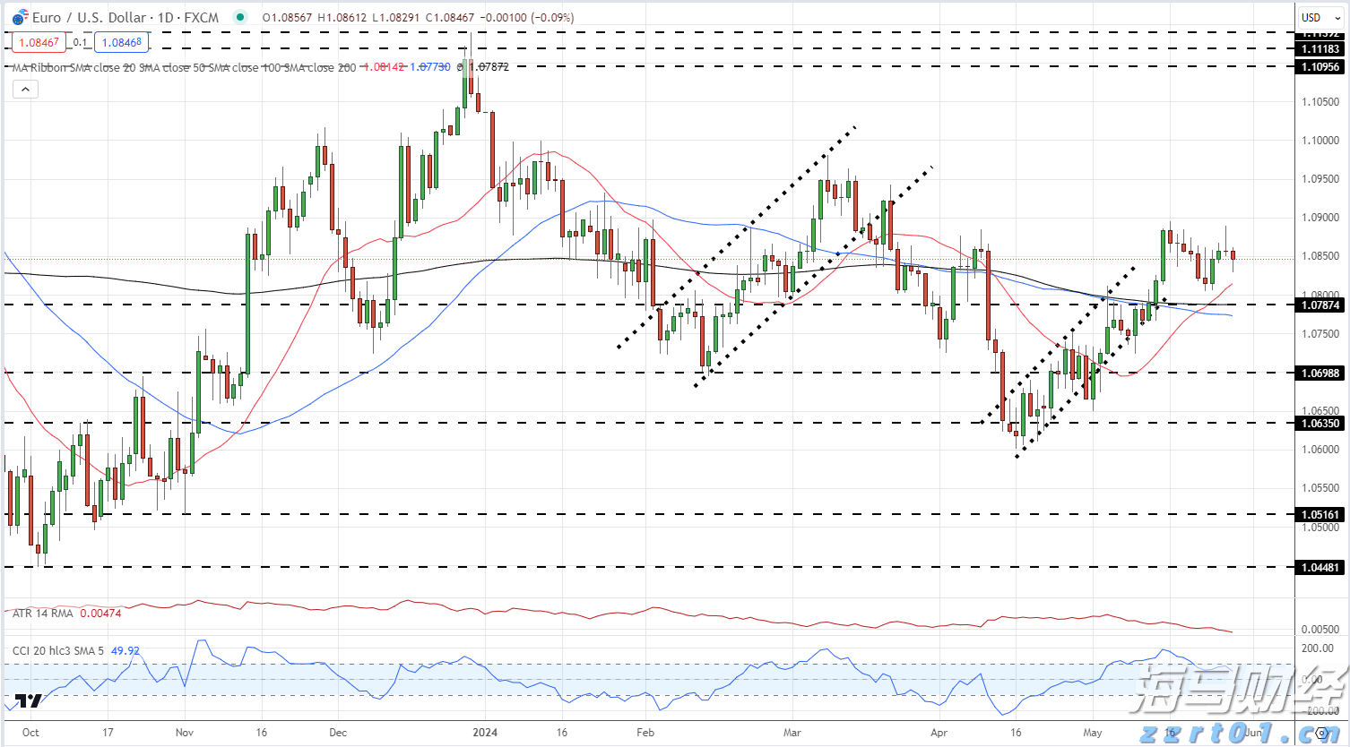 “粽”享六一  传承中华优秀文化
