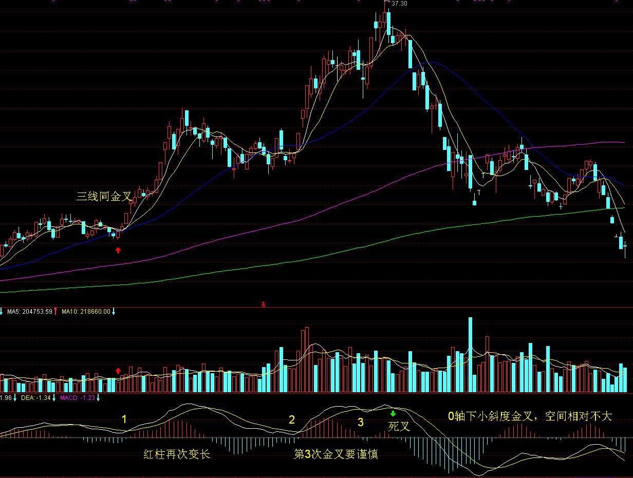 中汽协：7月新能源汽车产销持续快速增长
